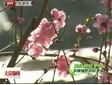 201444ֱƵ