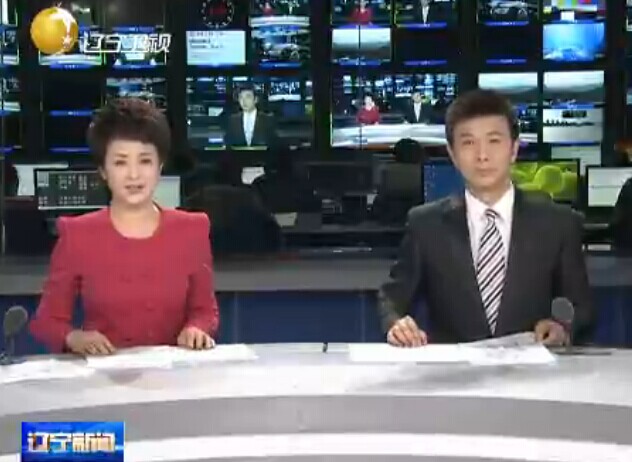 《辽宁新闻联播》2014年12月31日完整直播视频