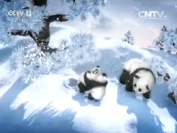 CCTV13 Ԥ졷20151222