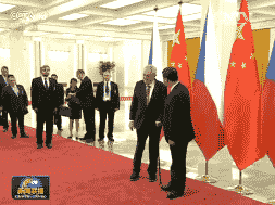 ϰƽݿͳ