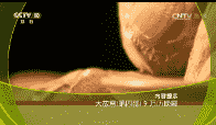 ټҽ̳2017513 ʹĲ9ϼ