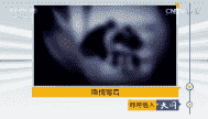 2017512 鱳