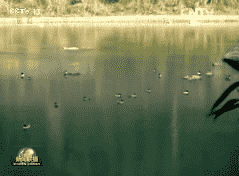 Ѷ20170606