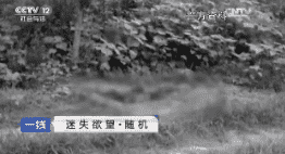 һߡ ʧ 20170607
