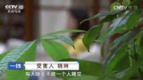 һߡ ¹µ 20170812