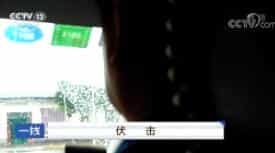һߡ  20171126
