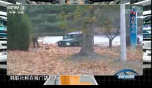 ¹۲졷 20171125 ӡ̫սԡλӦ
