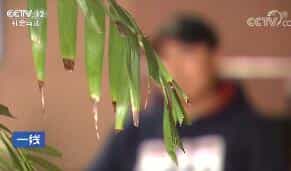 һߡ  20180130