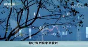 ټҽ̳201826 ˾⣨26 ϵĽ
