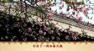 ټҽ̳2018224 ´ʷ 16 绯