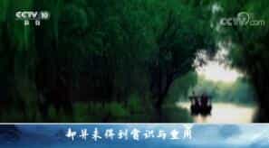 ټҽ̳201833 л¥ 5 ۷ⱱ¥
