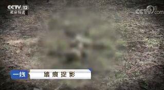 һߡ ̤׽Ӱ 20180325