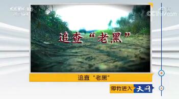201844 ׷顰Ϻڡ