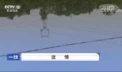 һߡ  20180715