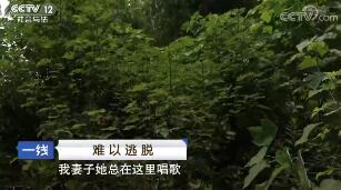 һߡ  20180915