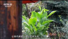 ҹߡ 20181004 ɽˮ ļ ɽˮõɫ罨