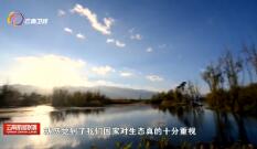 2018107ֱƵ