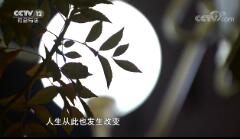 һߡ ʹ֮˺ 20181215