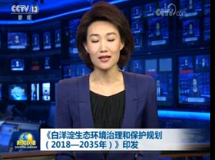 ̬ͱ滮2018-2035꣩ӡ