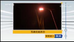 ҹߡ 20190108 ƵĽ
