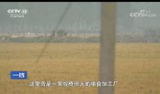 һߡ 賿һ 20190120