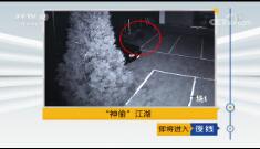 ҹߡ 20190131 ͵