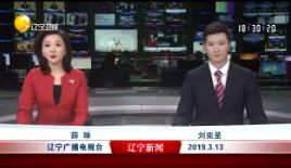 2019313ֱƵ