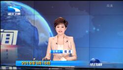 2019316ֱƵ