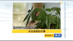 ҹߡ 20190325 ޷ѵ