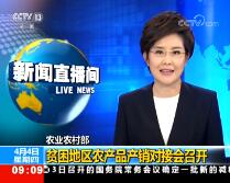 ֱ䡷201944 09:00