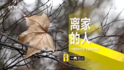 һߡ ;⡤ҵ 20190809