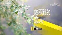 һߡ  20190815