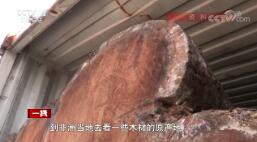 һߡ  20191023