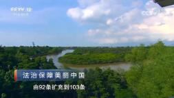һߡ رĿල αй 20191025